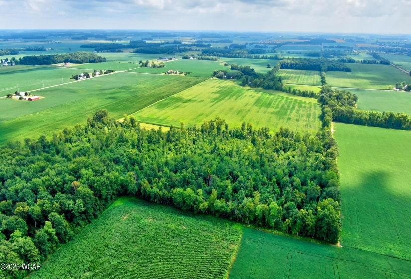 0000 149 Township Road, Arlington, Ohio, ,Land,For Sale,149 Township,307823