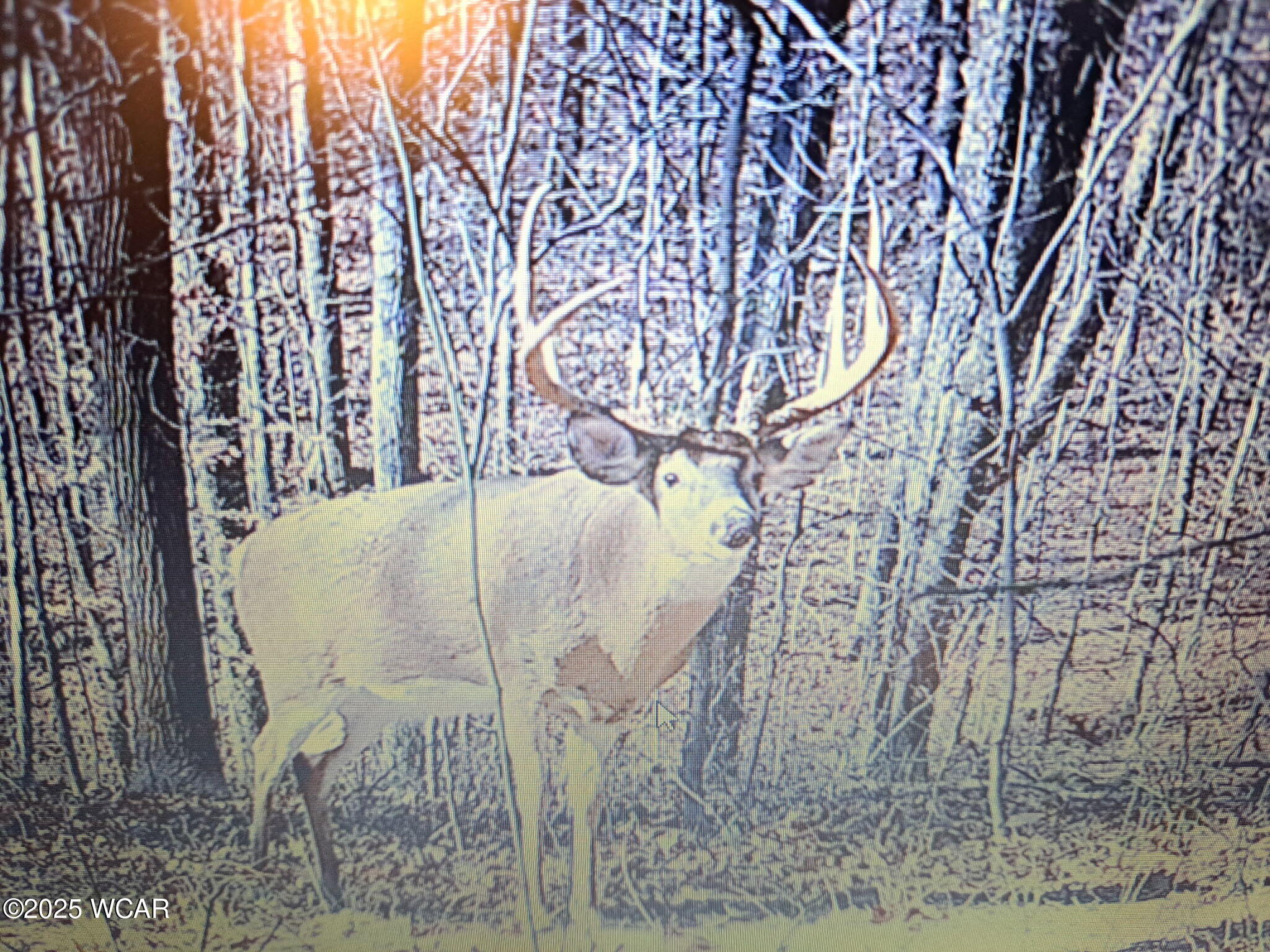11834 OH - 327, Wellston, Ohio