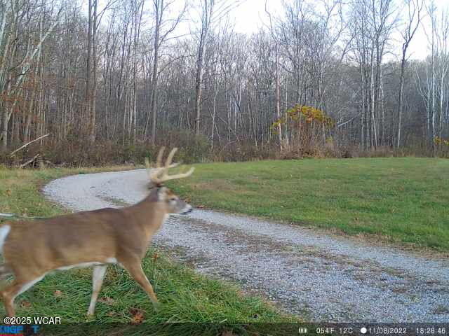11834 OH - 327, Wellston, Ohio