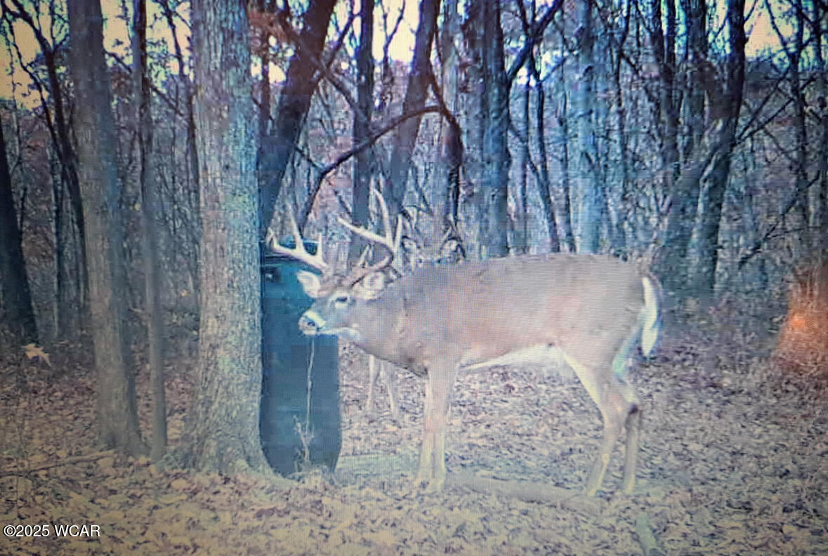 11834 OH - 327, Wellston, Ohio