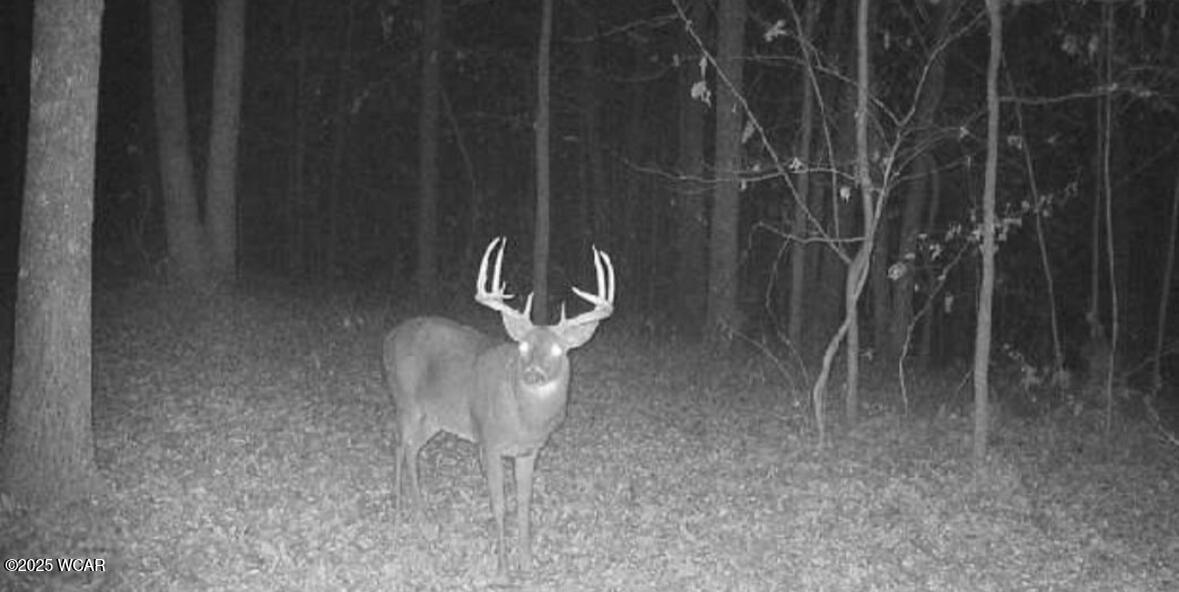 11834 OH - 327, Wellston, Ohio