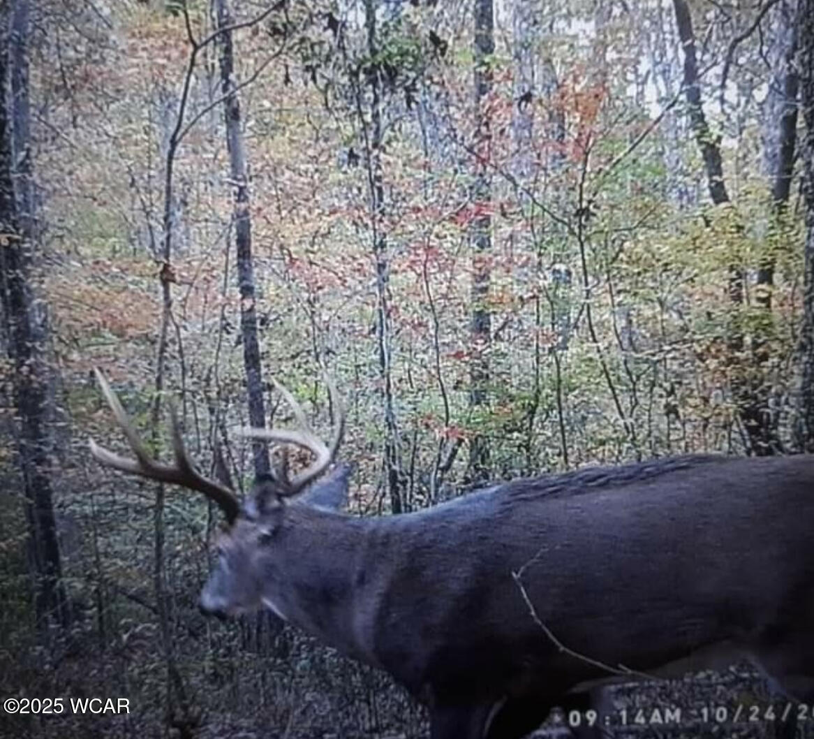 11834 OH - 327, Wellston, Ohio