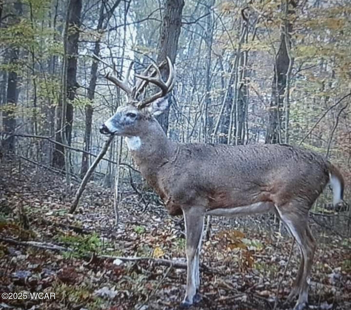 11834 OH - 327, Wellston, Ohio