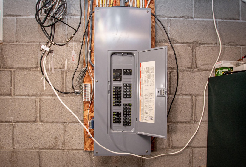 Panel