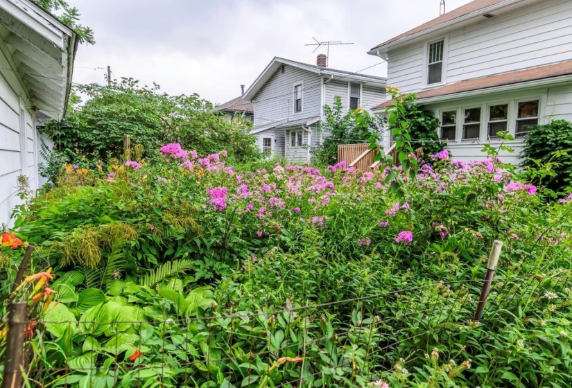 Back Yard Flower Garden