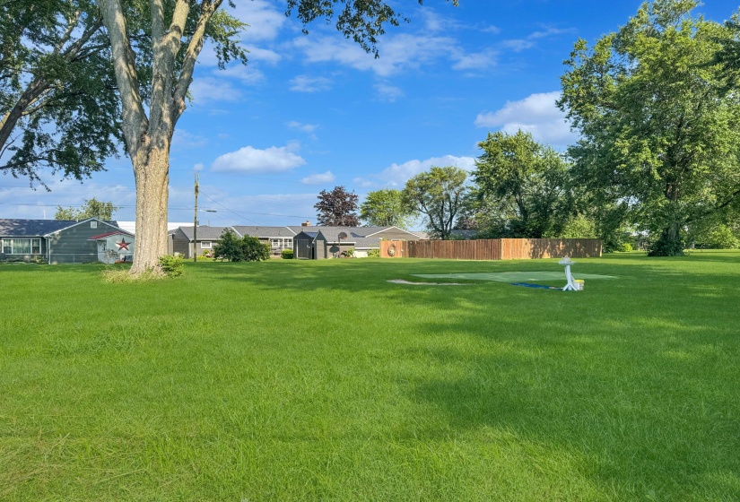 View of the Yard
