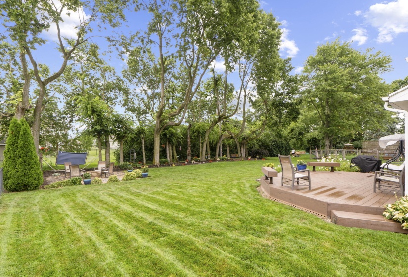 34-web-or-mls-DSC02692