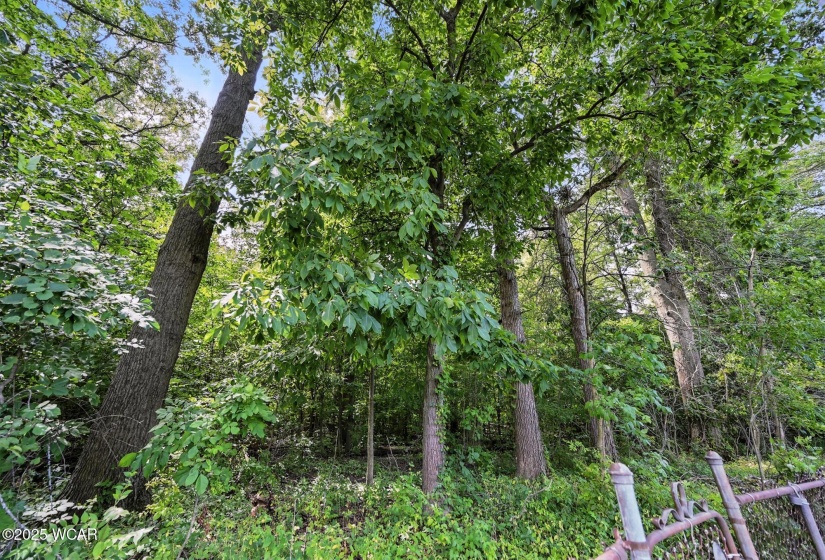 765 Lane Avenue, Lima, Ohio, 3 Bedrooms Bedrooms, ,1 BathroomBathrooms,Residential,For Sale,Lane,307881
