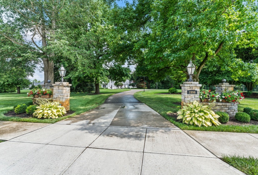90-web-or-mls-DSC07305