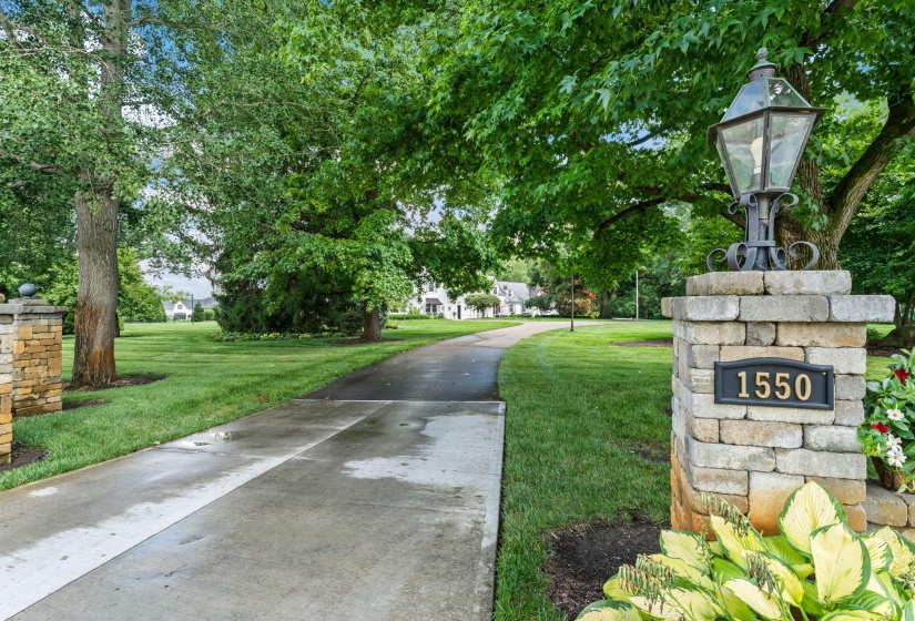 91-web-or-mls-DSC07308