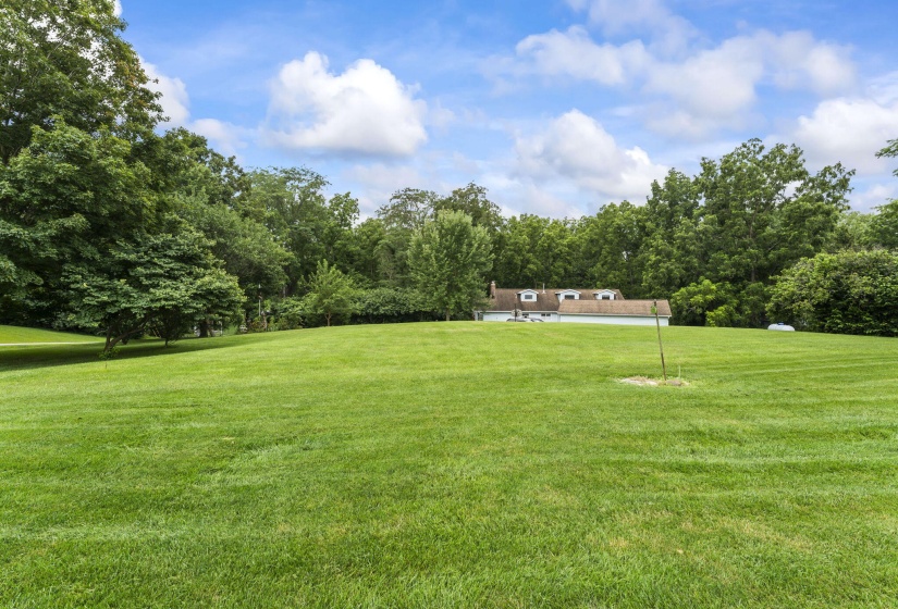 44-web-or-mls-DSC00796