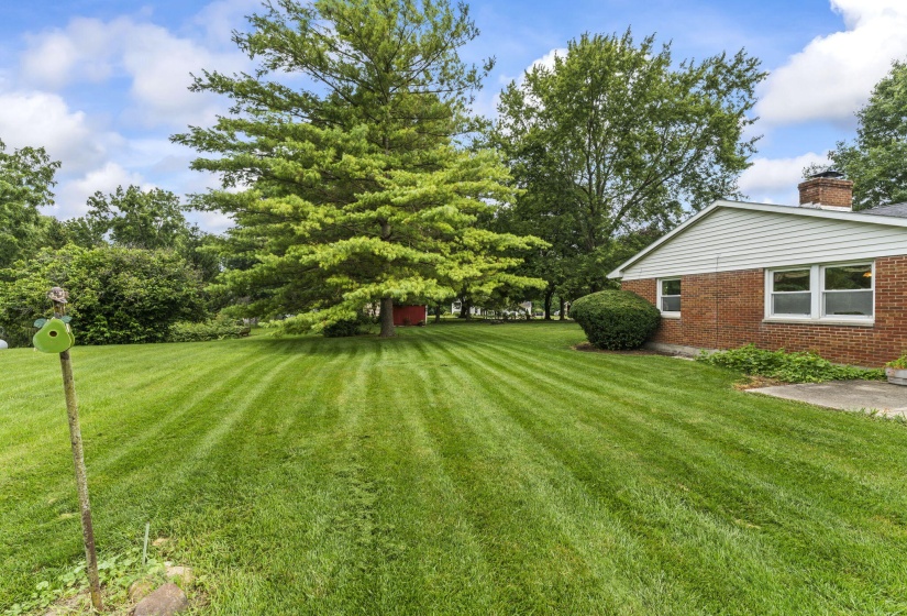 45-web-or-mls-DSC00799