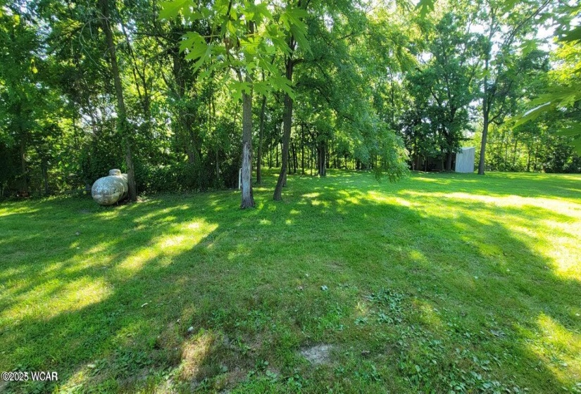 9917 Rd 171, Oakwood, Ohio, ,Residential,For Sale,Rd 171,307888