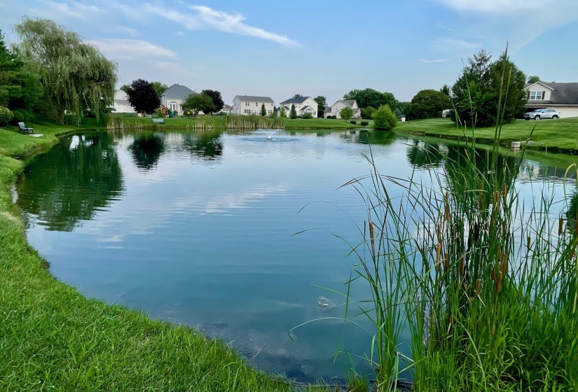 Community Pond-Clearstream