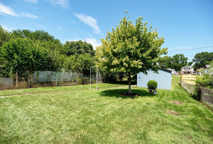 41-web-or-mls-918-e-rose-st