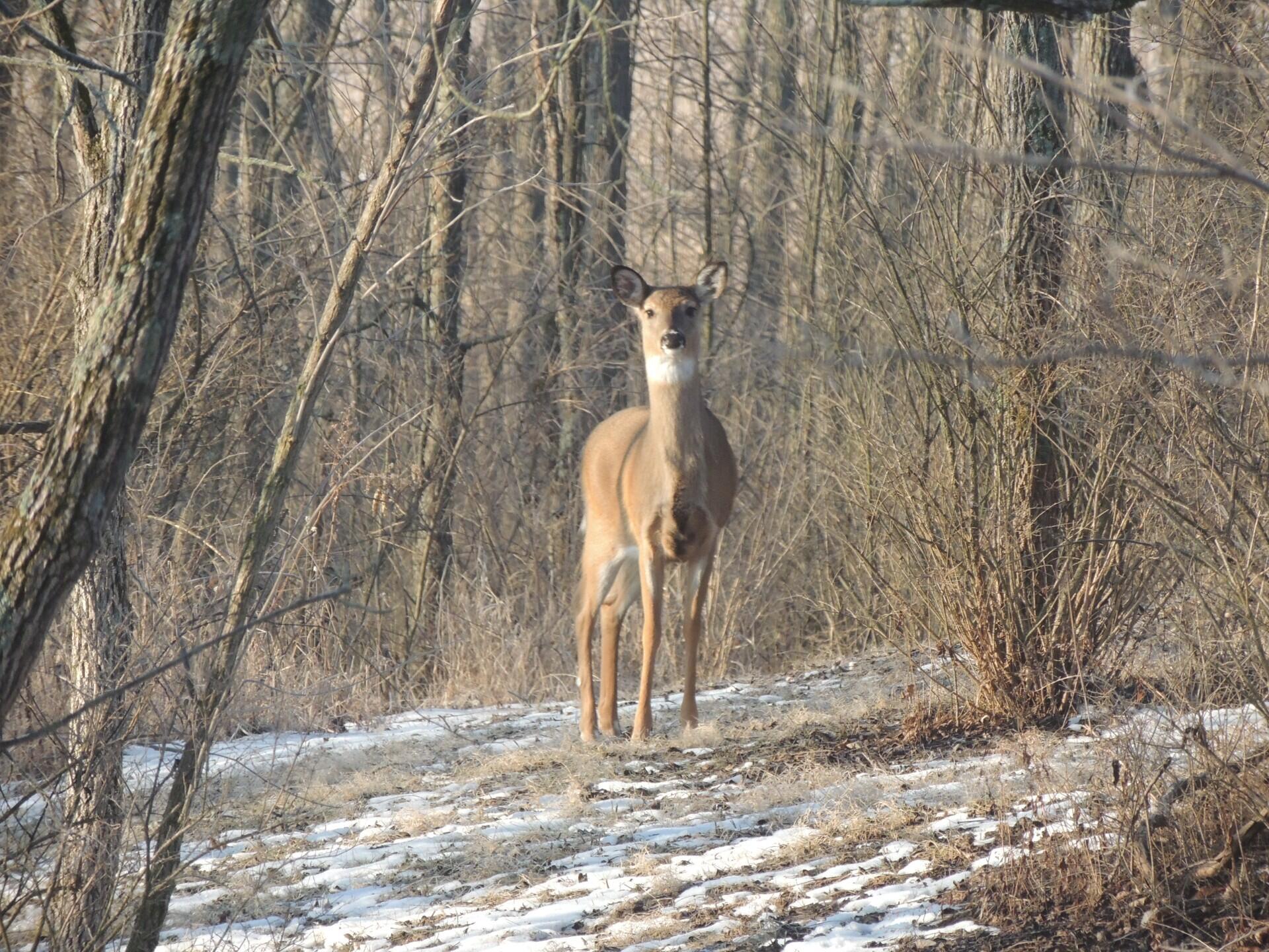 4164 County Road 1, Bellefontaine, Ohio 43311