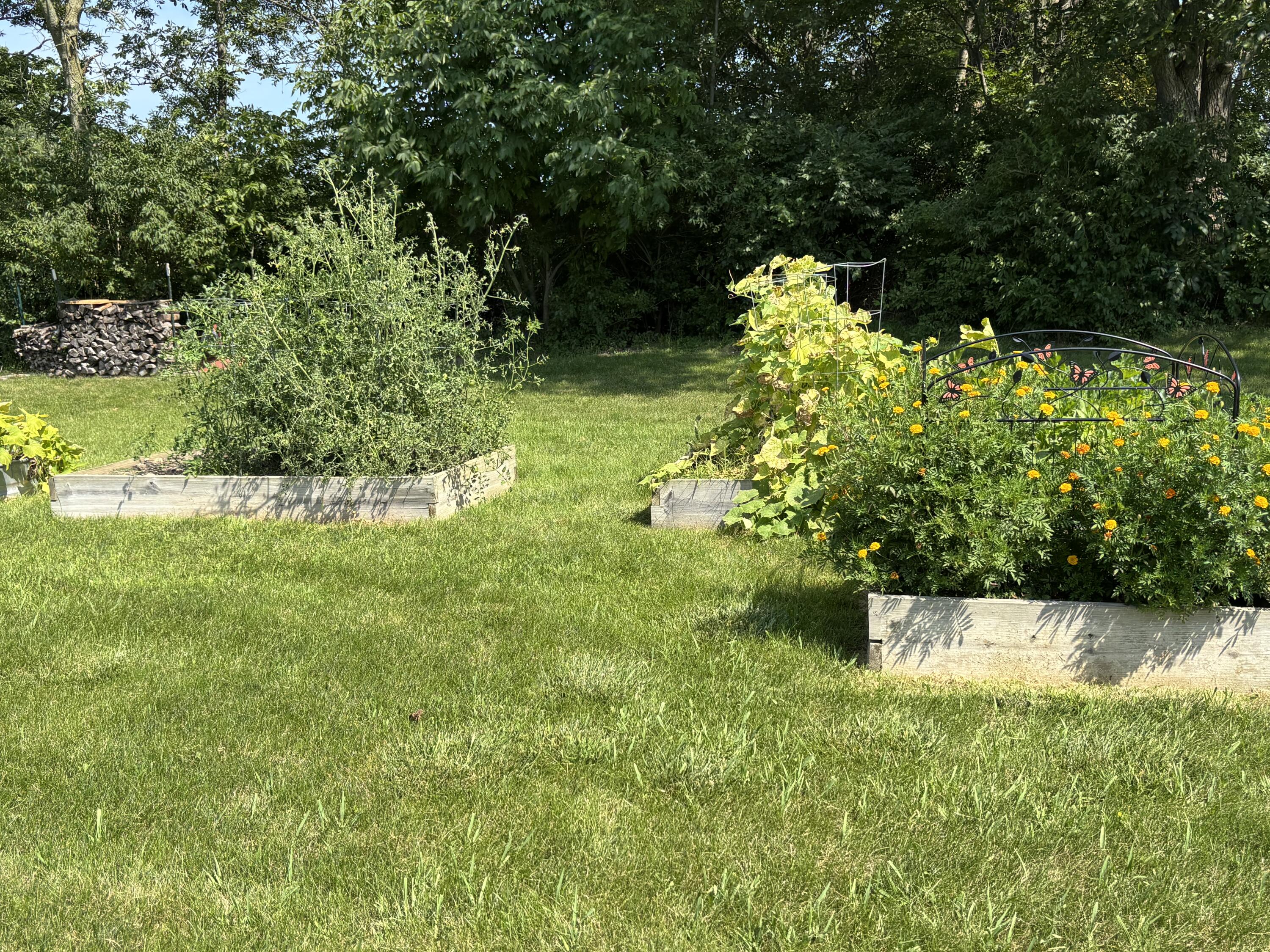 104 Village, Jackson Center, Ohio 45334