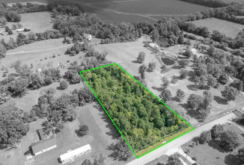 Aerial View of Property