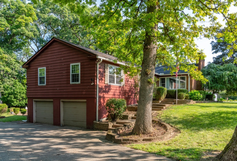 Driveway Area
