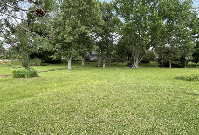 Yard