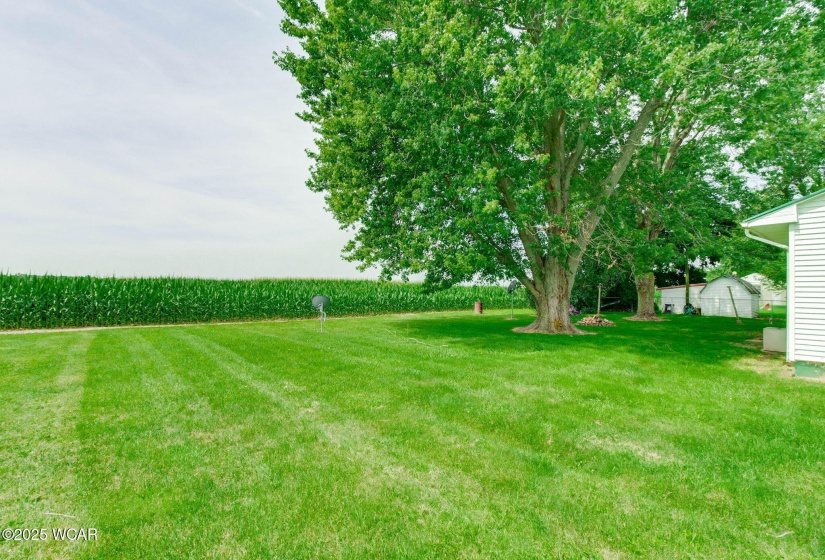 12584 Ohio 309, Kenton, Ohio, 3 Bedrooms Bedrooms, ,1 BathroomBathrooms,Residential,For Sale,Ohio 309,307929