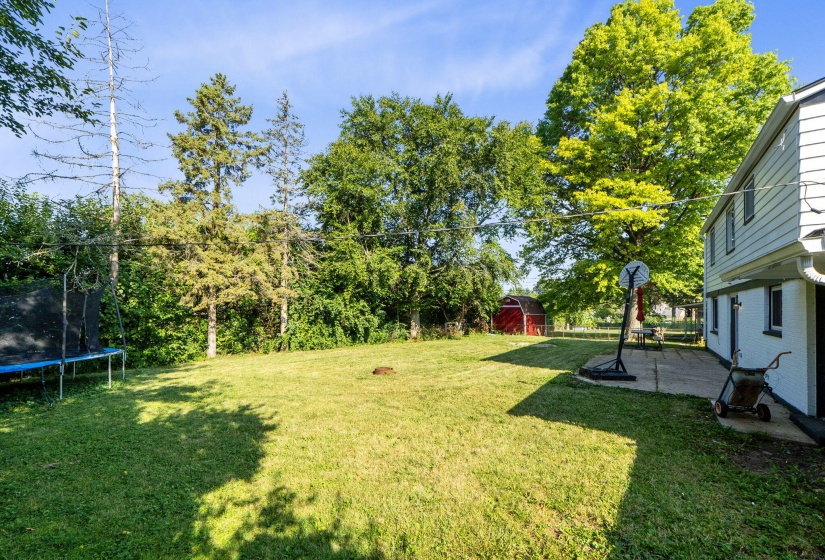36-web-or-mls-DSC03811