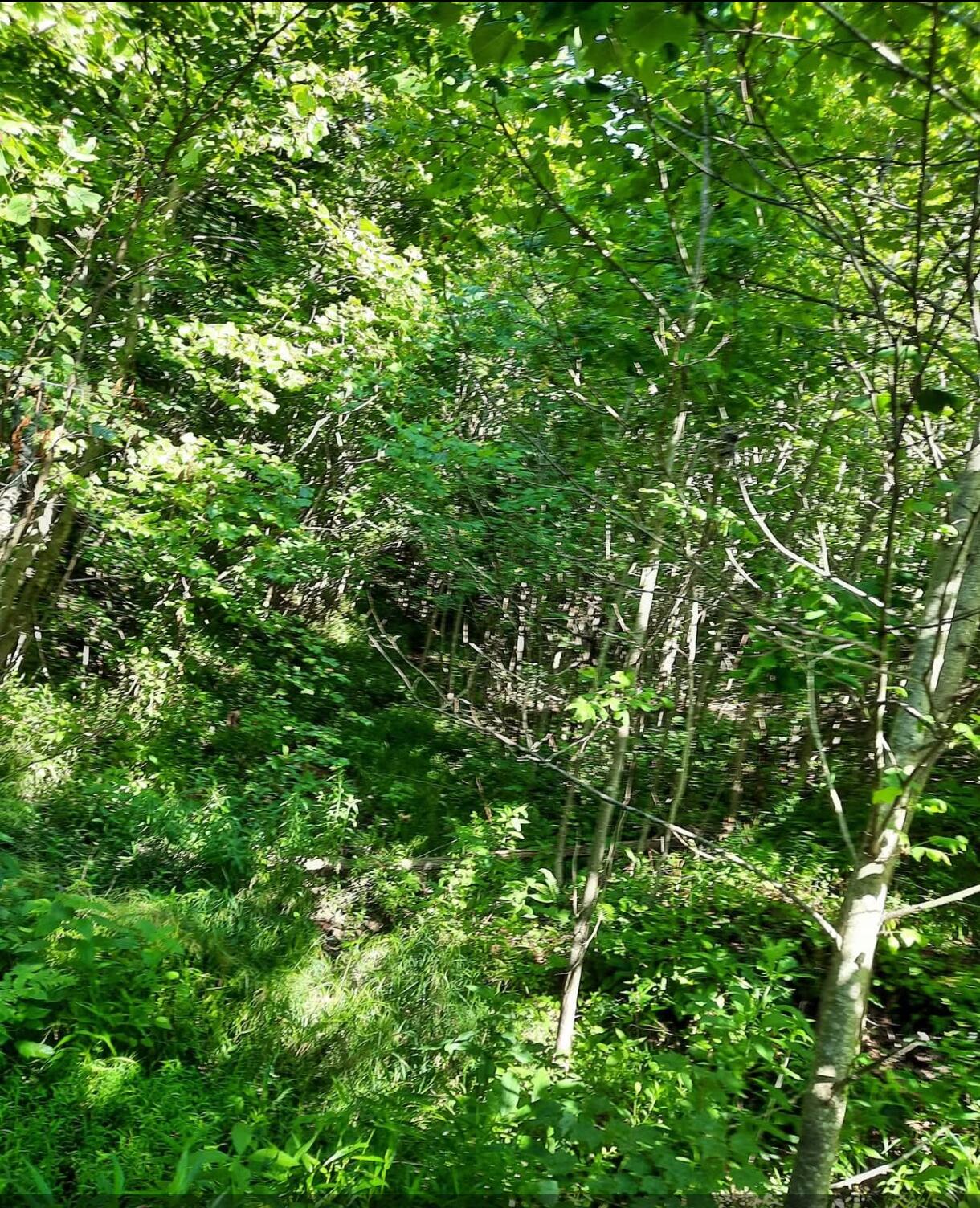 1774 Owl Creek Road, Lucasville, Ohio 45648