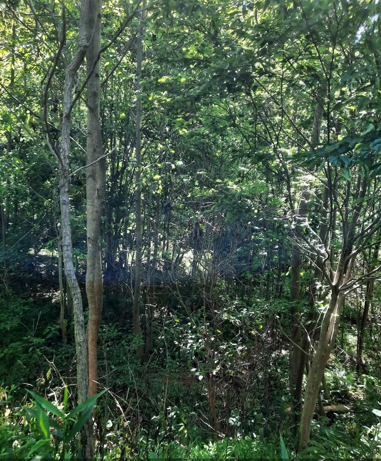 1774 Owl Creek Road, Lucasville, Ohio 45648
