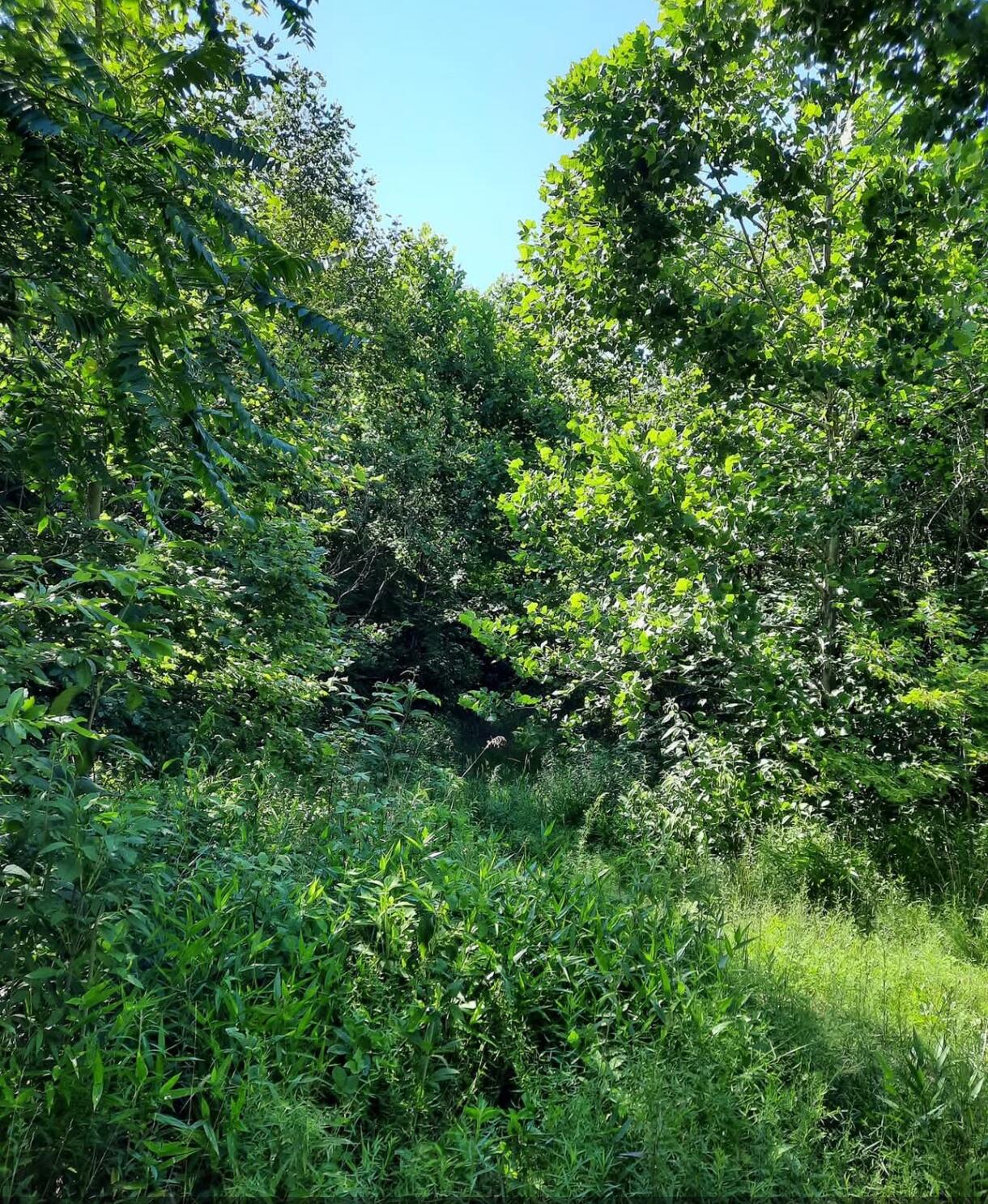 1774 Owl Creek Road, Lucasville, Ohio 45648