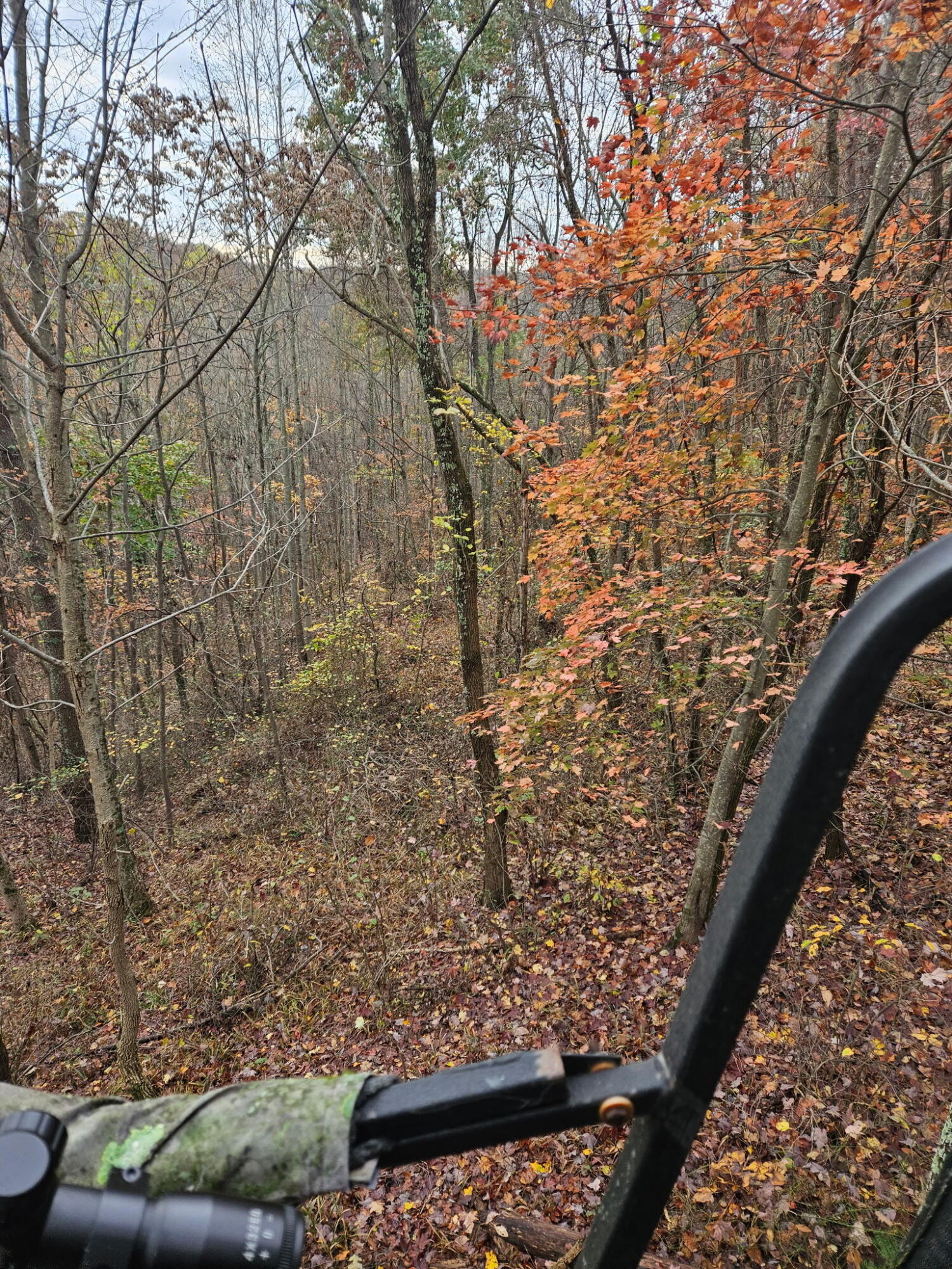 1774 Owl Creek Road, Lucasville, Ohio 45648