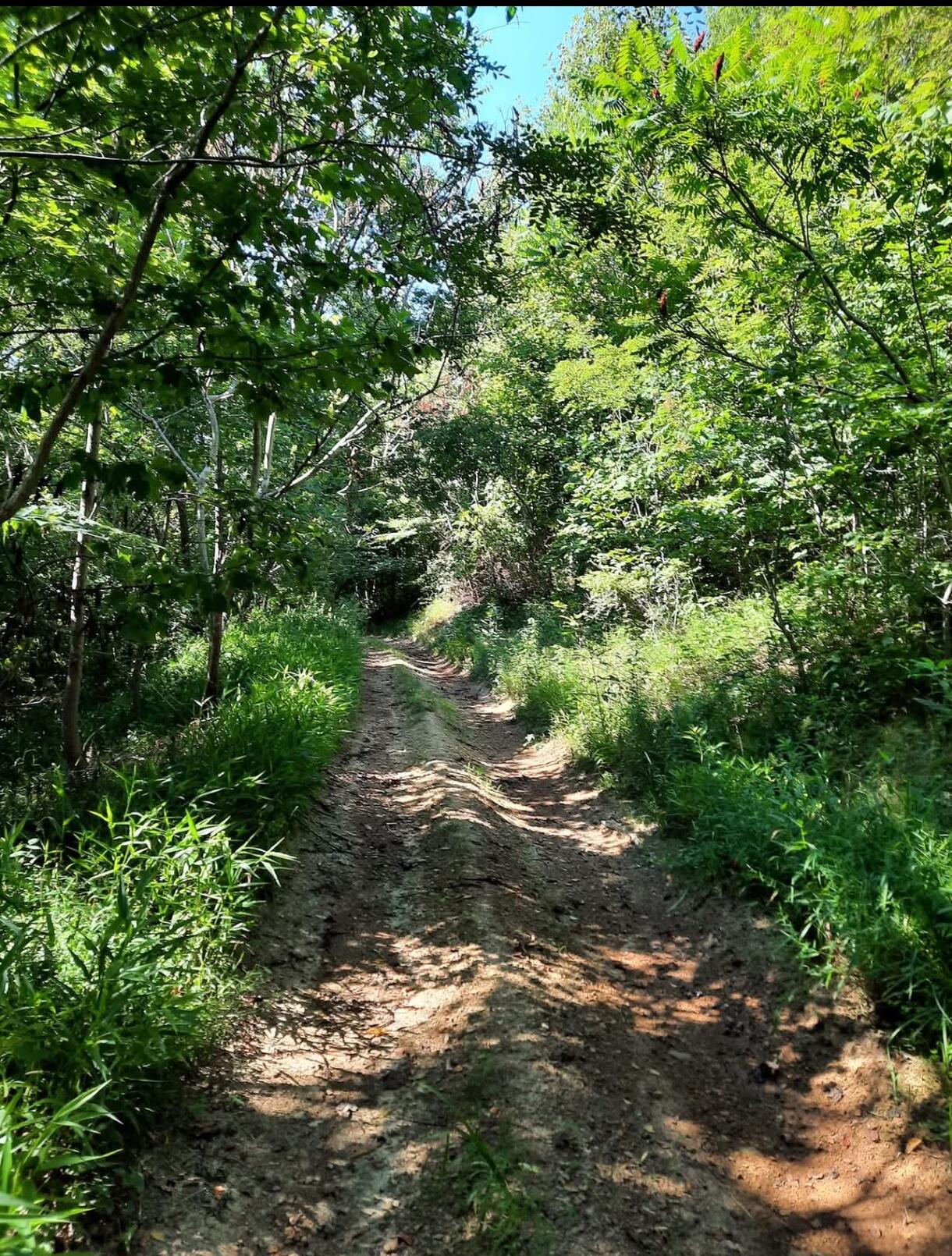 1774 Owl Creek Road, Lucasville, Ohio 45648