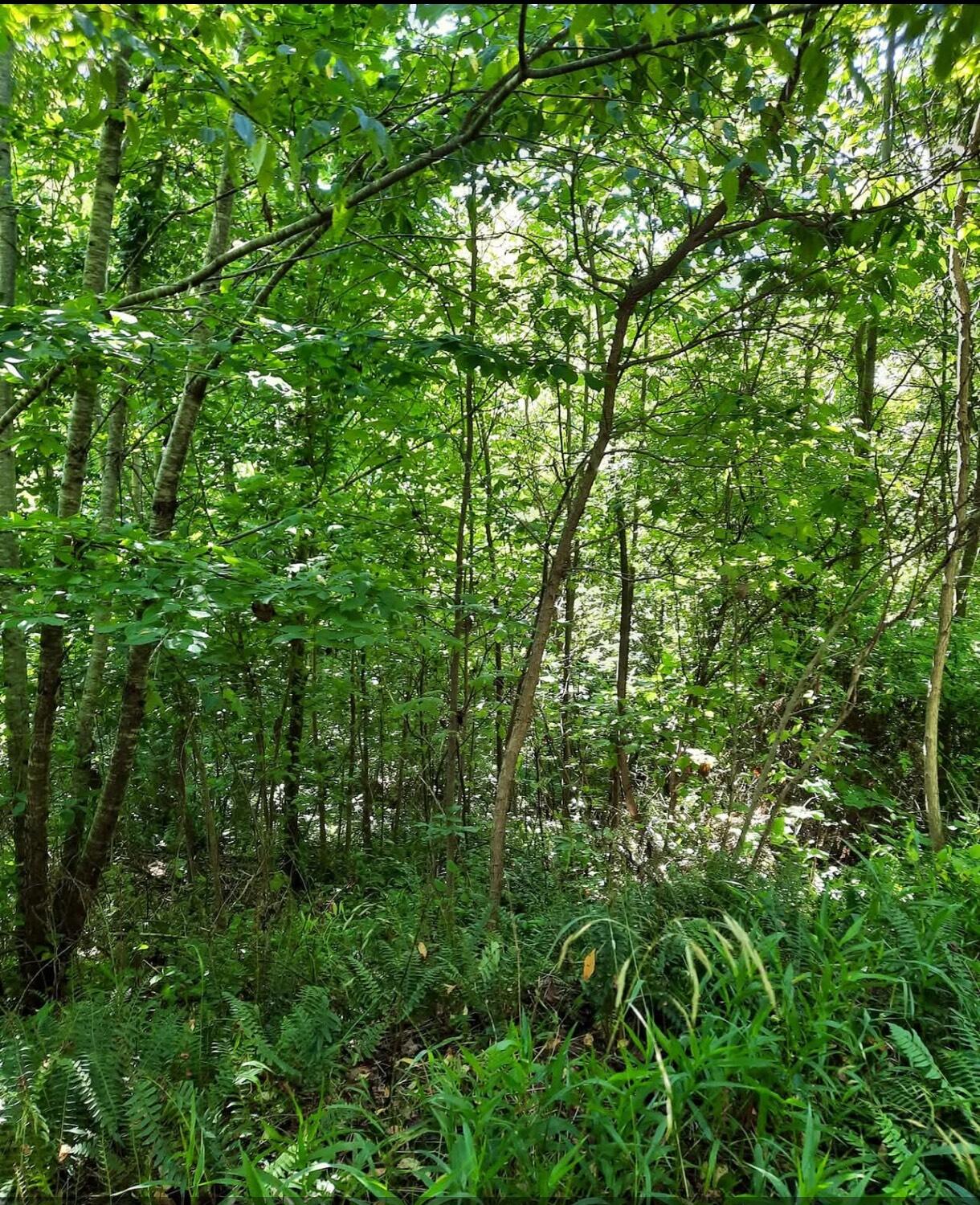 1774 Owl Creek Road, Lucasville, Ohio 45648
