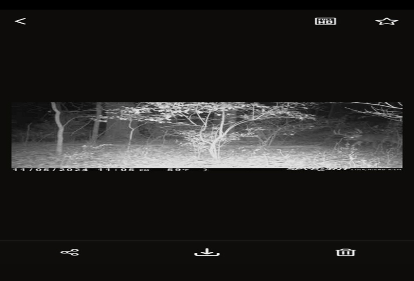 1855511054647941546