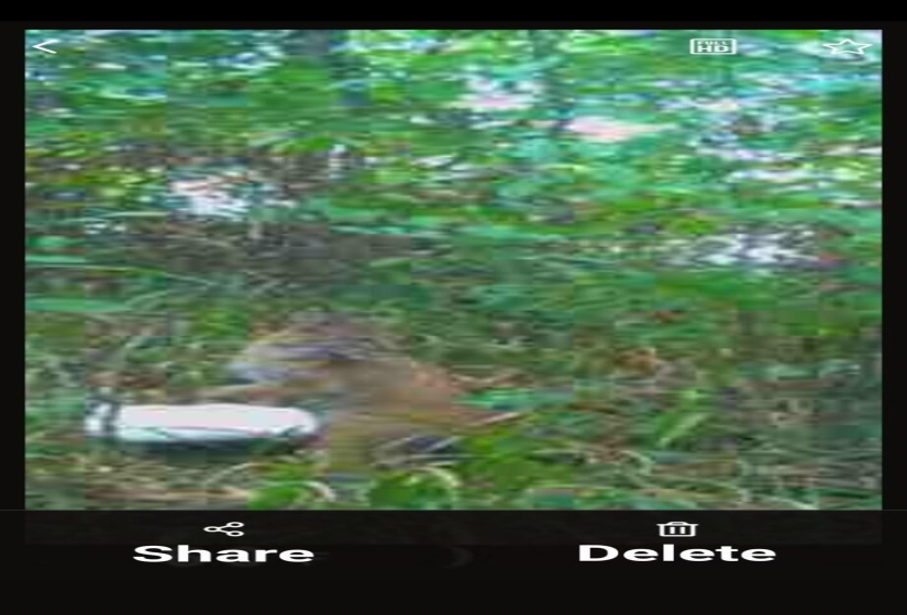 8465618597926975372