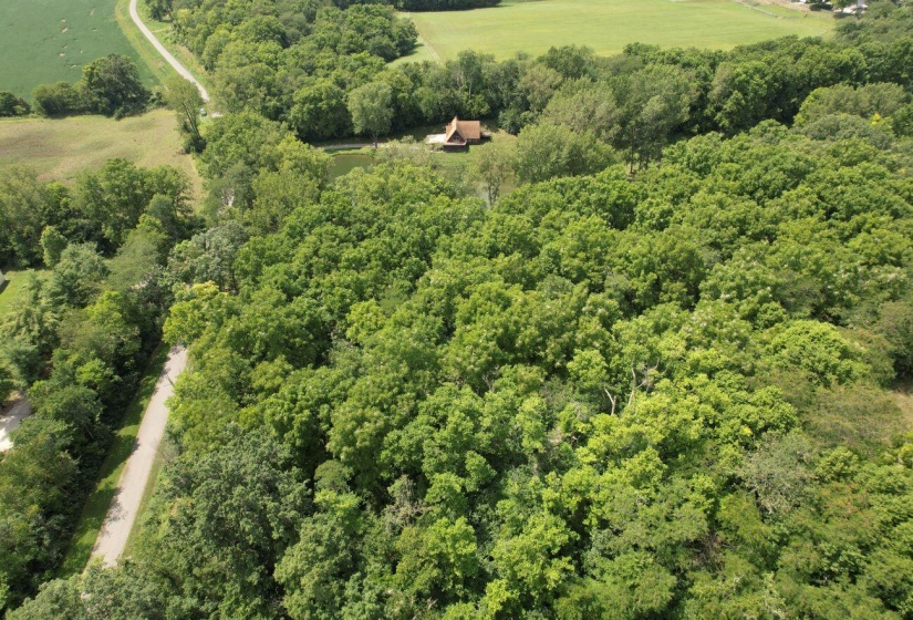 DJI_0920