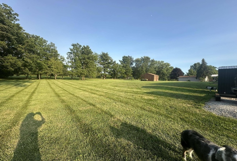 Backyard