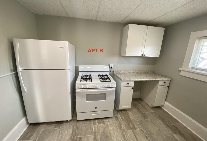 APT B1