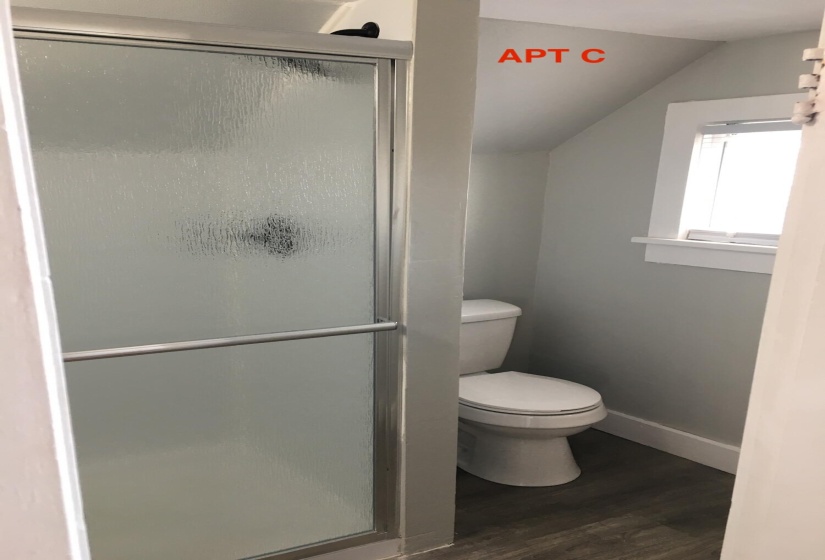 APT C2