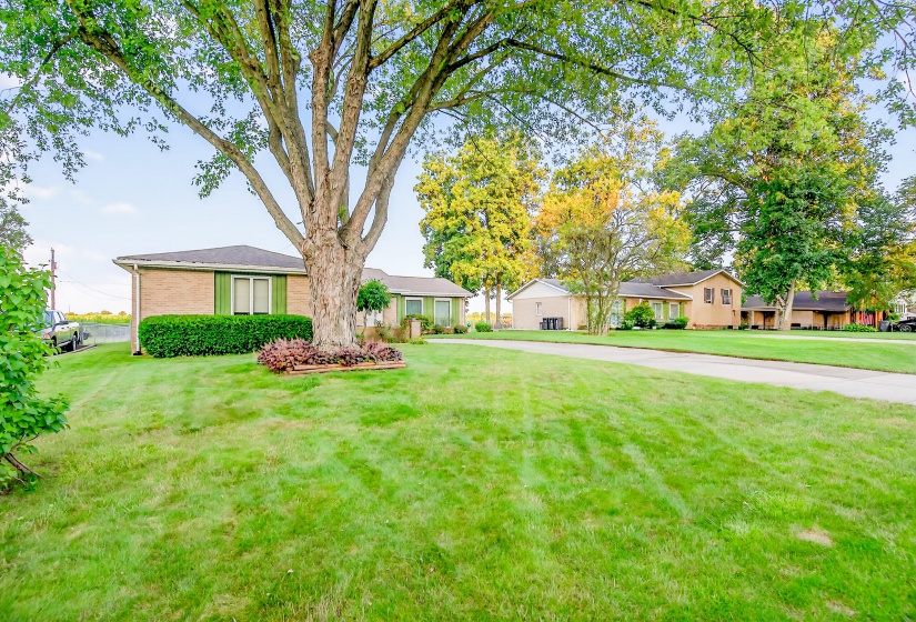 1160 Stephens, Sidney-4