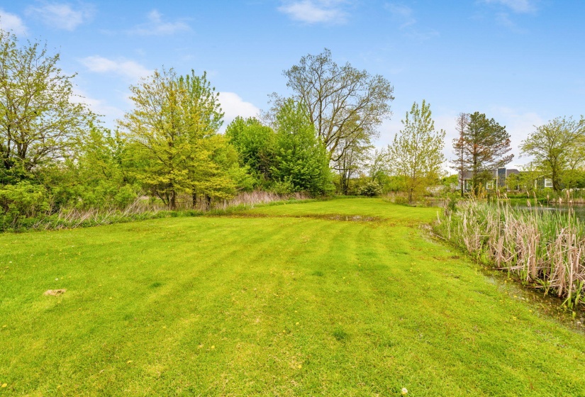 16838 Martin Welch Rd (Exterior)-18