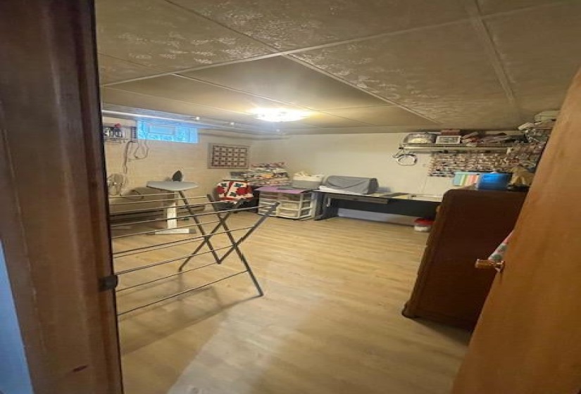 Basement Flex Space
