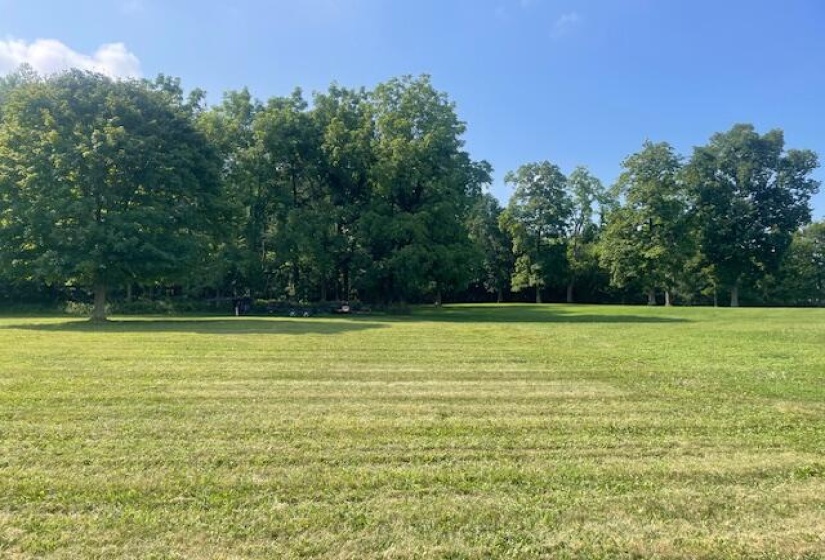view of lot and woods