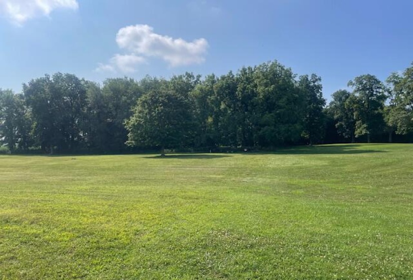 view of woods