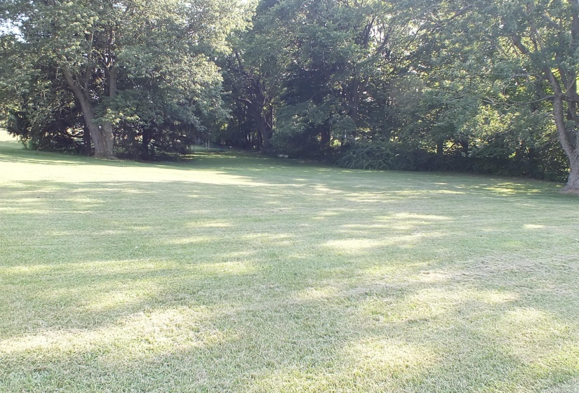 side yard