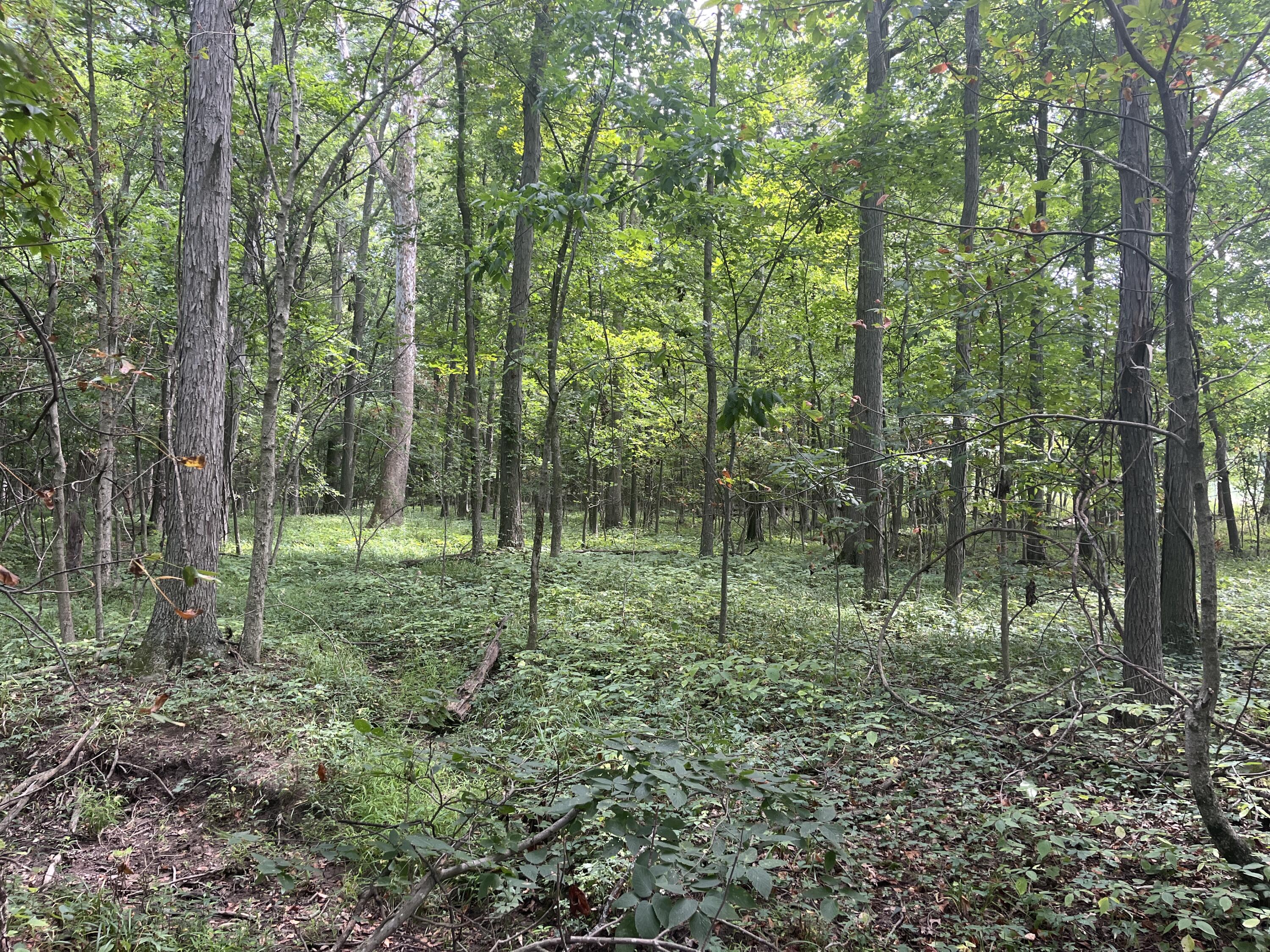 0 Raymond Road, Marysville, Ohio 43040