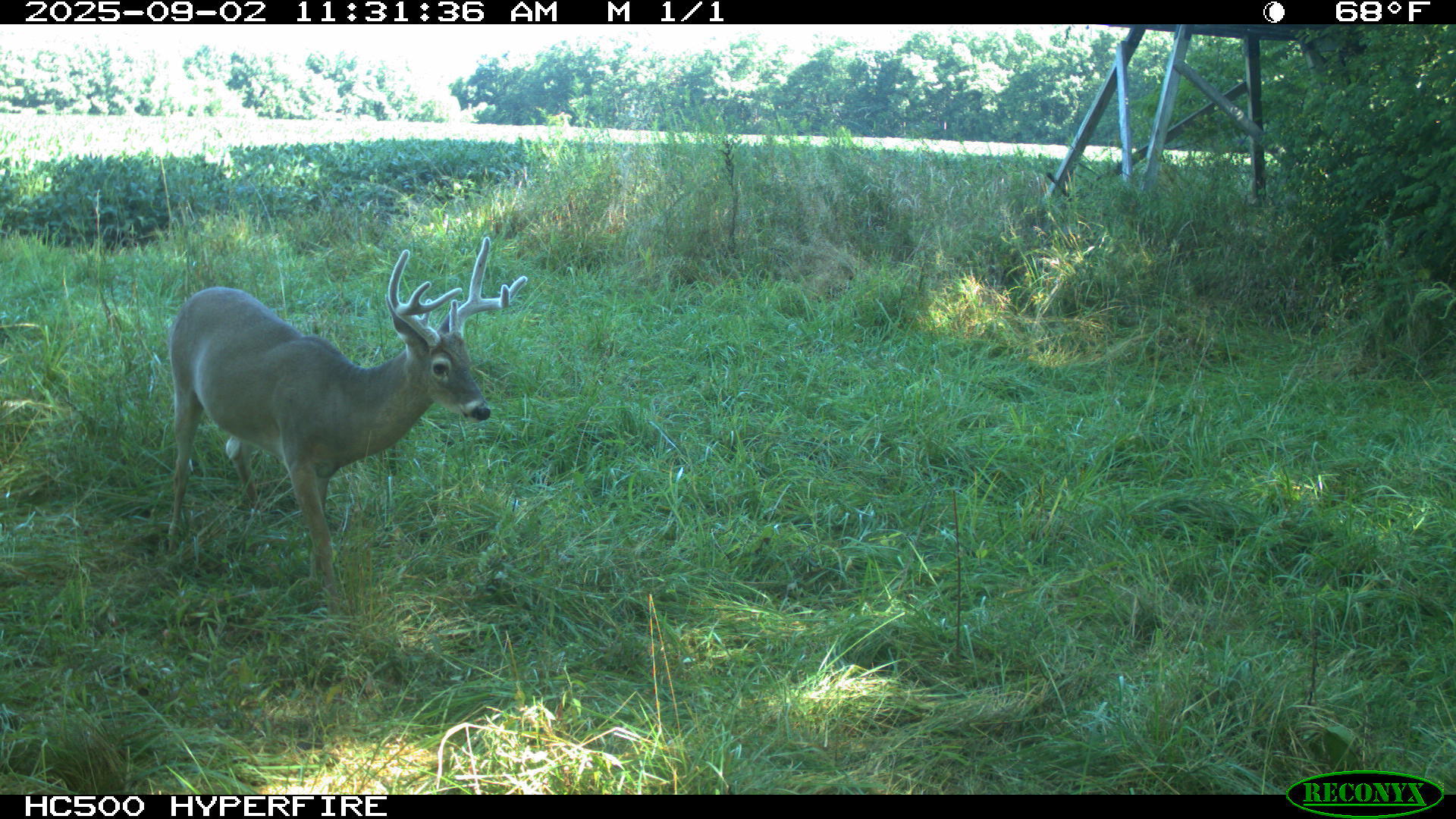 0 Raymond Road, Marysville, Ohio 43040