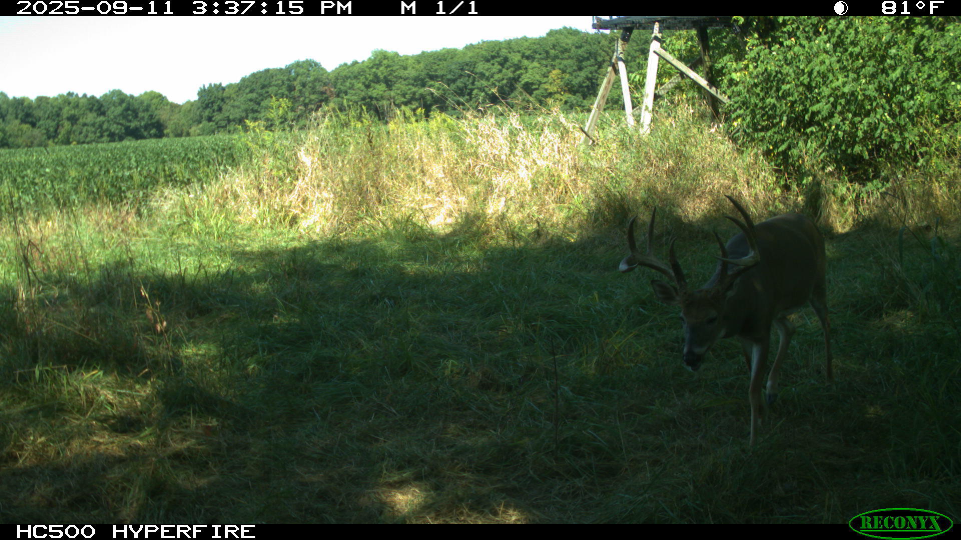 0 Raymond Road, Marysville, Ohio 43040