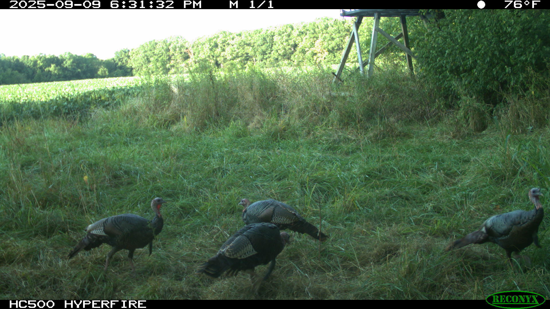 0 Raymond Road, Marysville, Ohio 43040