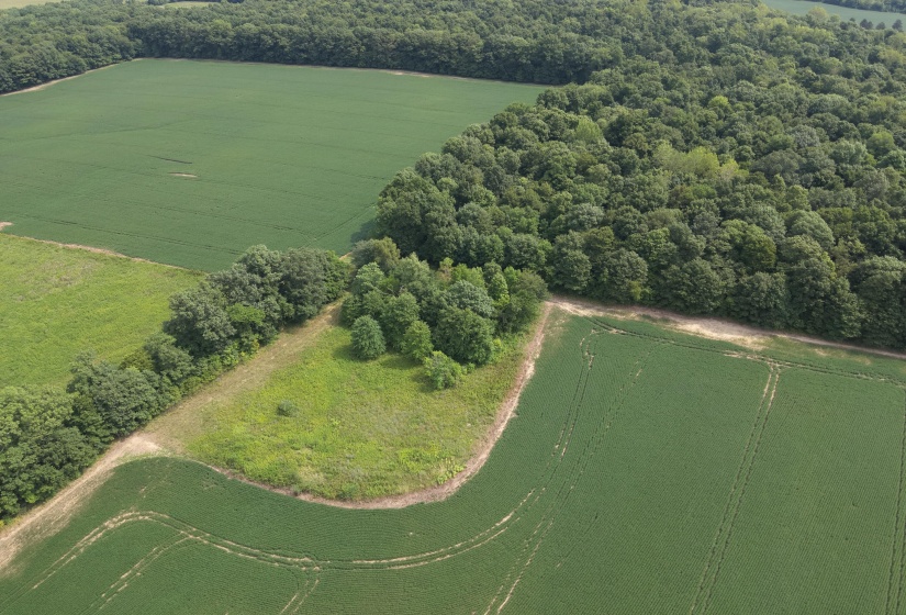 DJI_20250817120750_0008_W