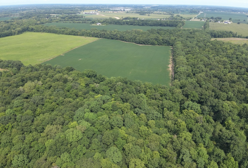 DJI_20250817120637_0006_W